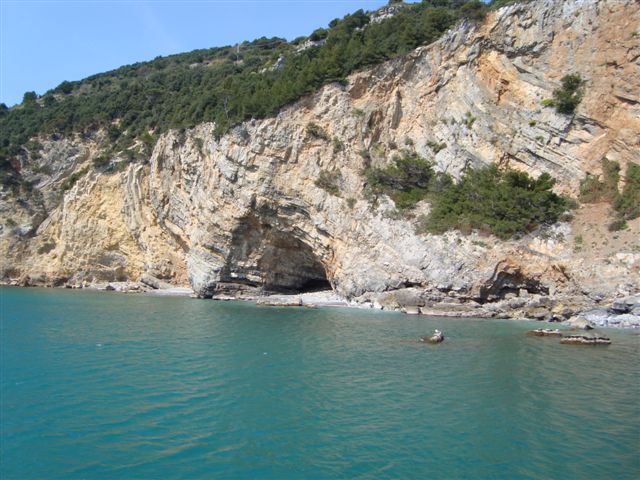 DSC02267